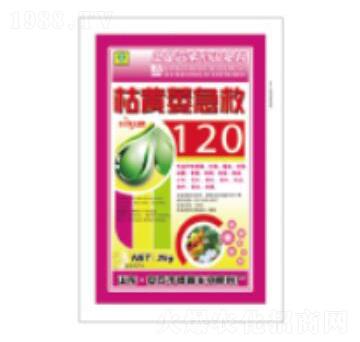 ���Sή����-��������