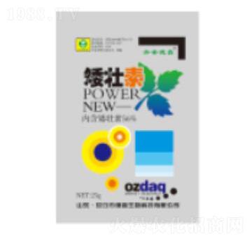 25g������-��������