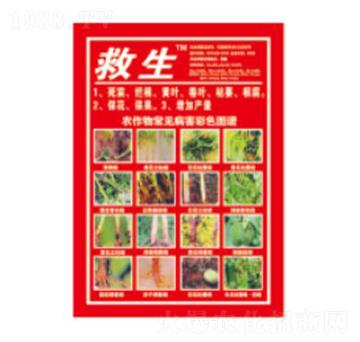 ����-��������