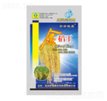 ����-��������