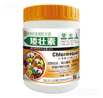 ֲ��I�B(y��ng)�{(di��o)�،���-������-��������