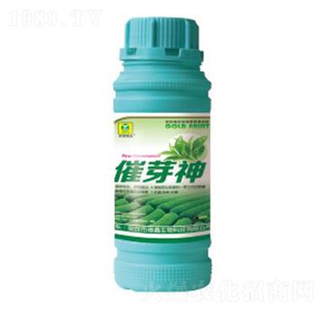 ��ѿ��-��������