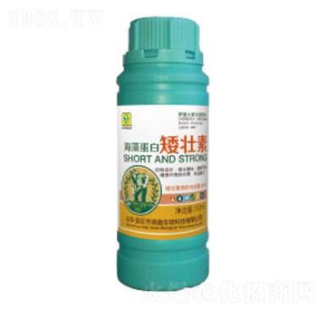 ���嵰�װ�����-��������