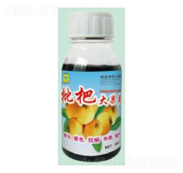 ���˴����-��������