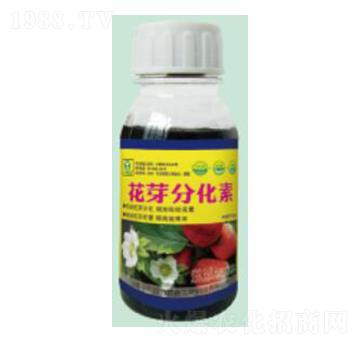 ��ѿ�ֻ���-��������