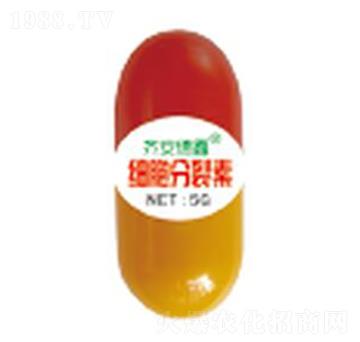 5g��(x��)��������-��������