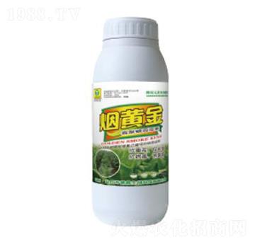 ���S��-��������