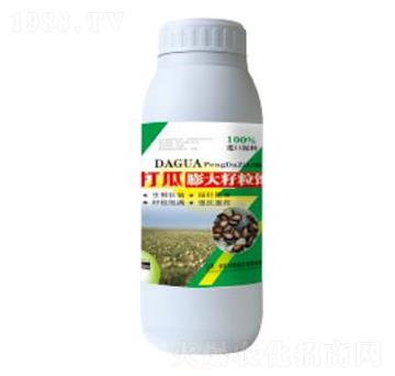 ����������-��������