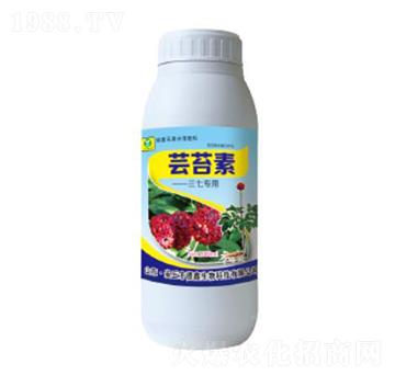 �|̦�����ߌ�(zhu��n)��-��������