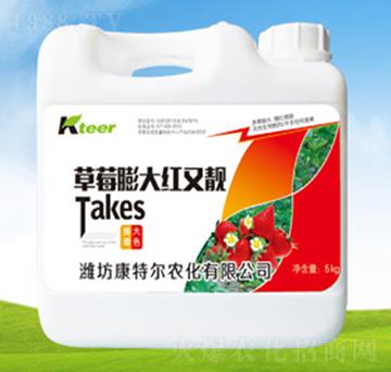 ��ݮ���t���n-���ؠ�