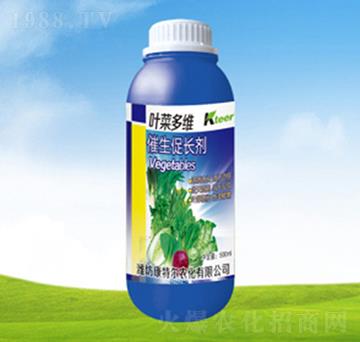 �~�˶�S�������L(zh��ng)��-��