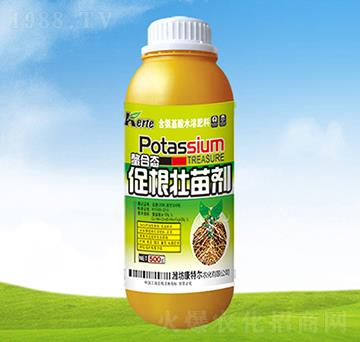 ���ϑB(t��i)�ٸ����焩-����