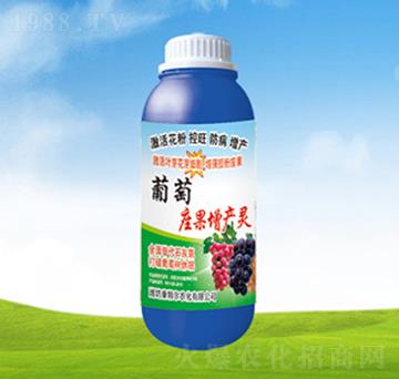 �����������a(ch��n)�`-���ؠ�