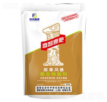 ����L(f��ng)��-��(gu��)��Ҽ��