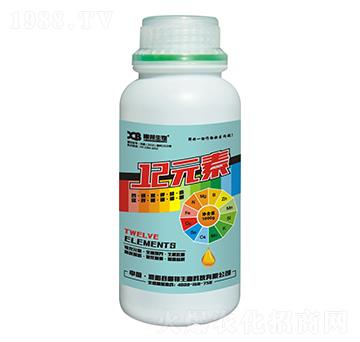 12Ԫ��-�ذ�����