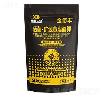 ���b������VԴ�S�����-����S-�ذ�����