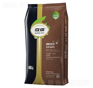 �O�|(zh��)΢����������p�����������{������-�ۃ�