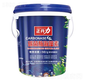 ̼��ø������-������-���P�(y��ng)