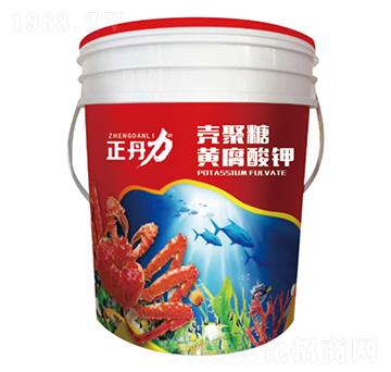 �������S�����-������-���P�(y��ng)