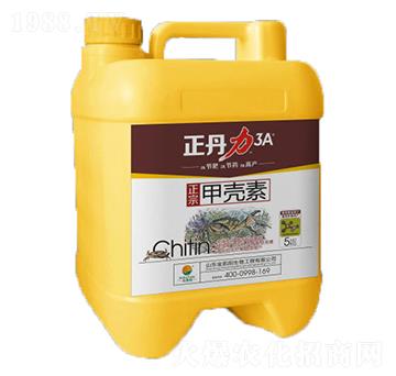 �ך���-������-���P�(y��ng)