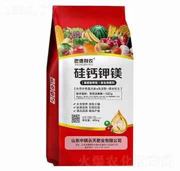 ���}��V-�͵����r(n��ng)-��������