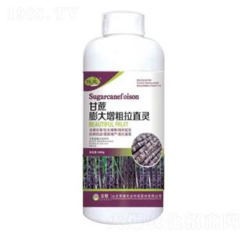 1000g�������������ֱ�`-�sҫ�r(n��ng)�I(y��)