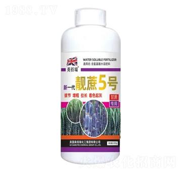 1000g��һ���n��5̖-�sҫ�r(n��ng)�I(y��)