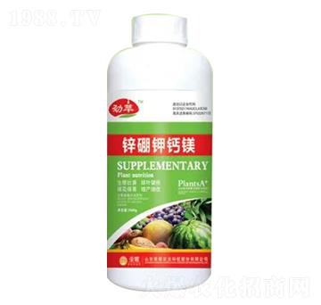 1000g�\����}�V-�sҫ�r(n��ng)�I(y��)