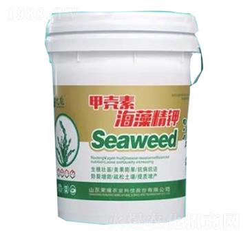 �ך��غ��徫�-�sҫ�r�I(y��)