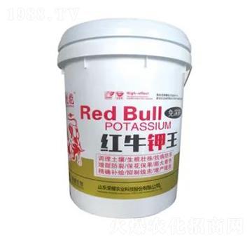 �tţ���-�sҫ�r�I(y��)