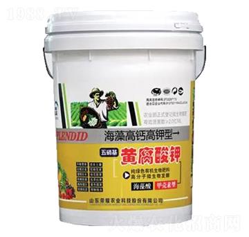 �������S�����-�sҫ�r�I(y��)