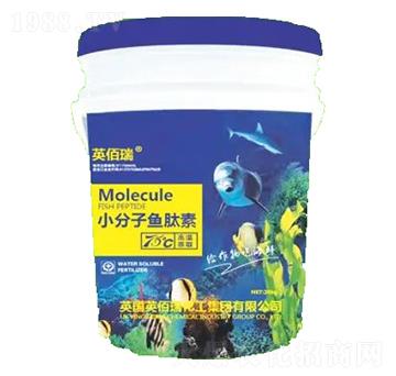 С�����~����-�sҫ�r�I(y��)