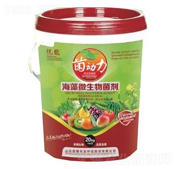 ����΢�������-�sҫ�r�I(y��)