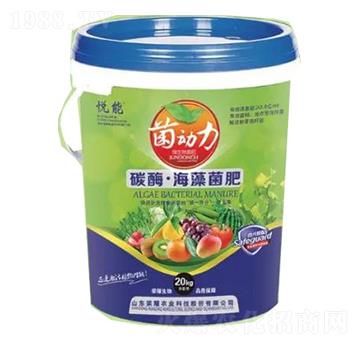 ̼ø���������-�sҫ�r�I(y��)