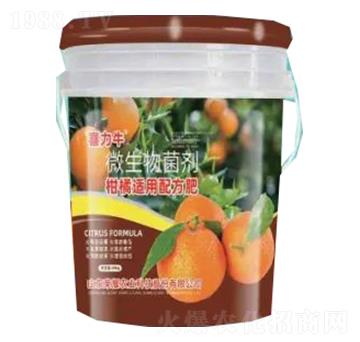 �����m���䷽��-�sҫ�r�I(y��)