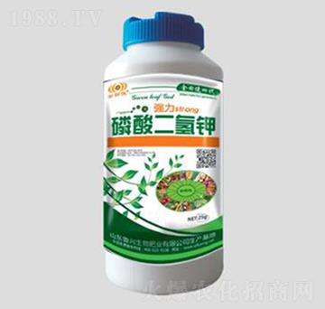 ��������-���d����