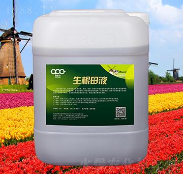 ����ĸҺ-��(��i)�ɿ�