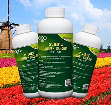 2.85%���c��������ˮ��-��(��i)�ɿ�