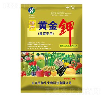 �����S���-����ţ