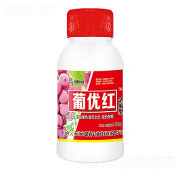 100g��s���σ�(y��u)�t�~���-��(chu��ng)�¿Ƽ�