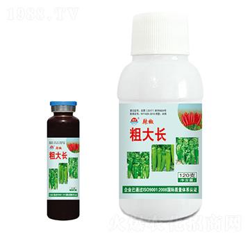 ��������ˮ�ܷ���-�����ִ��L(zh��ng)-���r(n��ng)�挚