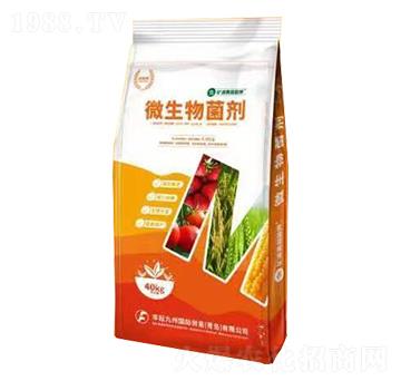 ΢�������-�S�ž���