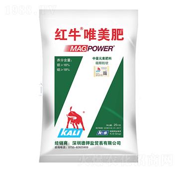 �tţΨ����-�����r(n��ng)�I(y��)