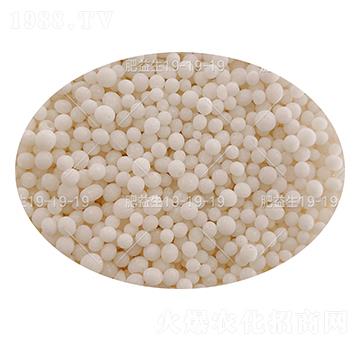 ���컯��������(f��)�Ϸ��ϣ��w����19-19-19-���h(hu��n)-���컯�r(n��ng)�Y