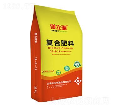 ������͏�(f��)�Ϸ���21-8-11-�V����-���컯