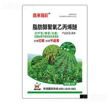 脂肪醇聚氧乙丙烯醚-鼎來瑞彩-鼎來瑞