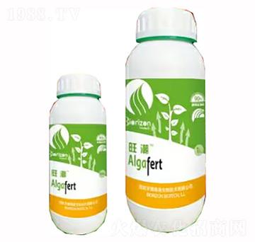 ����-�����m��