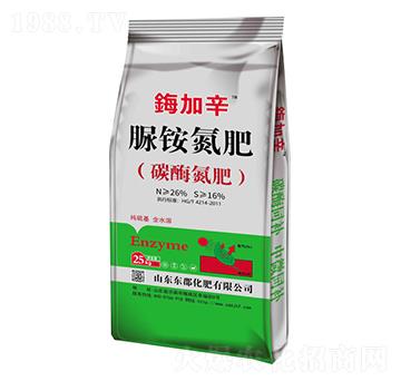 ���@����-�|������