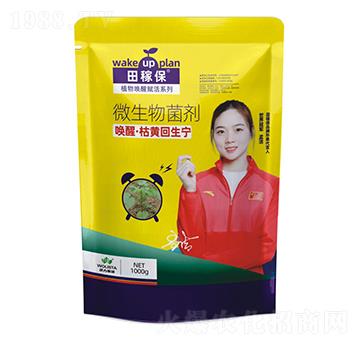 ΢�������-���ѡ����S������-��ڱ�