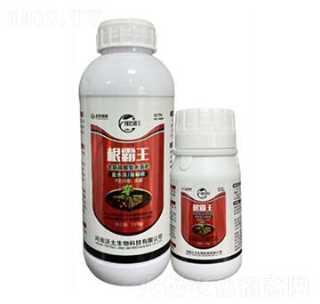 ����������������ˮ�ܷ�-�ډѴT�S-��������